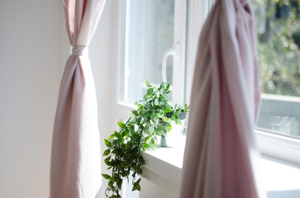 Bright Apartment Near Cismigiu And Old Town Букурещ Екстериор снимка