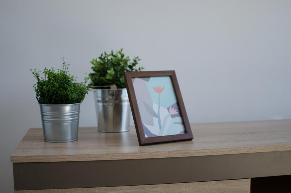 Bright Apartment Near Cismigiu And Old Town Букурещ Екстериор снимка